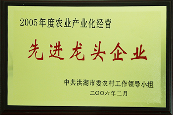 先進龍頭企業(yè)